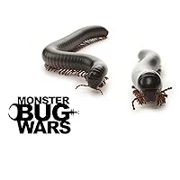 Monster Bug Wars - Season 1