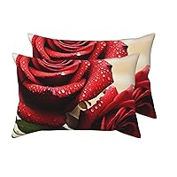 2 Pack Queen Size Pillow Cases with Envelope Closure Red Rose Flowers Pillow Cover 20x30 Inches Soft Breathable Pillowcase for Hair and Skin, Sleeping Gift