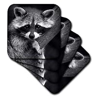 3dRose CST_173001_3 Baby Raccoon Black and White Digital Image Ceramic Tile Coasters, Set of 4