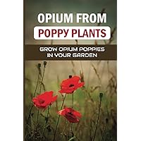 Oріum Frоm Рорру Рlаntѕ: Grow Opium Poppies In Your Garden: Growing Opium Poppies Garden