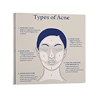 PUDERGBB Beauty Salon Type of Acne Skin Knowledge Poster (7) Canvas Painting Posters And Prints Wall Art Pictures for Living Room Bedroom Decor 16x16inch(40x40cm) Frame-style