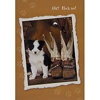 Animal World - Barely Broken In Birthday Greeting Card