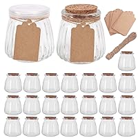 4oz Glass Jars with PE Lids and Cork Lids, 24 Pack Mini Pudding Jars Clear Yogurt Jars Glass Favor Jars Containers for Spice, Jam, honey, Mousse, Wedding Favors, Shower Favors, DIY and Art