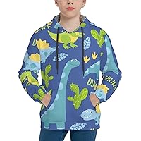 Dinosaurs Men'S Hoodies 3d Print Novelty Graphic Hoodies For Men - Unisex Pullover Sweatshirts