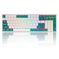 Wireless Mechanical Keyboard, RGB Backlit Full Size 100 Keys with Hot Swappable Gateron Switches and PBT Keycaps, Bluetooth5.0/2.4G/Wired Rechargeable Gaming Keyboard for Mac Windows PC