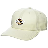 Dickies Men's Low Pro Logo Dad Hat