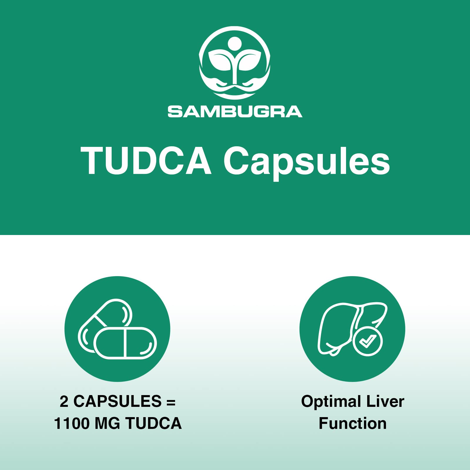 Sambugra Liposomal Hyaluronic Acid Supplements 1000mg and TUDCA Liver Support 1100mg (Pack of 4)