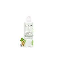 Babo Botanicals Swim & Sport Citrus Mint & Passion Fruit Shampoo & Wash - Purifying Cleanser for hair & body- Removes chlorine & sweat - For all ages - Scented with Citrus & Peppermint Essential Oils
