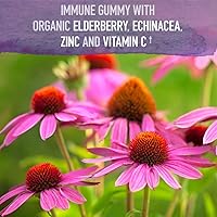 Grass Fed Collagen Powder, Elderberry Gummies - Immune Support, Hair Skin Nails Joints, 120 Vegan Gluten Free Gummies
