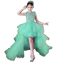 ZHengquan Flower Girls Dress High Low Tulle Party Dress Fluffy Pageant Princess Long Ball Gown
