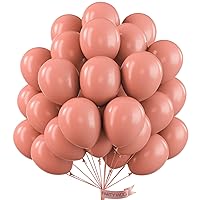 PartyWoo Blush Pink Balloons, 100 pcs 10 Inch Boho Pink Balloons, Salmon Pink Balloons for Balloon Garland or Balloon Arch as Party Decorations, Birthday Decorations, Baby Shower Decorations, Pink-F01
