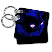 3dRose Key Chains Hunting At Halloween Stunning Black Cat Vector (kc-298269-1)