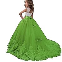 ZHengquan Girl Lace Embroidery Birthday Party Wedding Gowns Formal Dresses for Girls Tulle A line Prom Dress