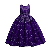 Baby Girl Dress for Thanksgiving Wedding Party Dress for Kids Formal Girls Lace Dress Ballgown for