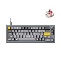 Keychron Q2 Wired Custom Mechanical Keyboard Knob Version, 65% Layout QMK/VIA Programmable Macro with Hot-swappable Gateron G Pro Red Switch Double Gasket Compatible with Mac Windows Linux (Grey)