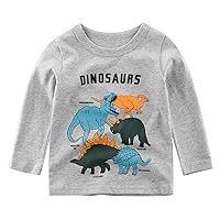 Toddler Kids Baby Boys Girls Dinosaur Letter Print Long Sleeve Crewneck T Shirts Tops Tee Clothes for Long Tee