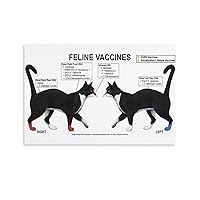 Feline Vaccines Poster Vetclinic Posters Canvas Painting Wall Art Poster for Bedroom Living Room Decor 16x24inch(40x60cm) Unframe-style
