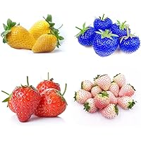 800+ Mixed Strawberry Seeds to Plant - Red Yellow Blue White Mixed in a Pack Climbing Strawberry - Heirloom Everbearing Fruit