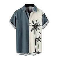 Men's Casual Funny Hawaiian Shirts Caribbean Tropical Cruise Summer Holiday Button Down Short Sleeve Trendy Beach