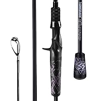 Goture Travel Fishing Rods 2 Piece/4 Piece Fishing Pole with Case