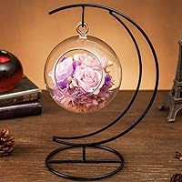 Creative Preserved Roses,Eternal Flowers in Round Glass,Imported Enchanted Rose,Creative Birthday Gift Christmas Eve Valentines Day Home Decor-B 2512cm