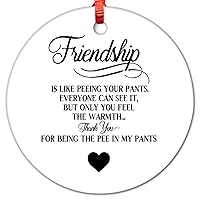 Friendship is Like Peeing Your Pants.Everyone Can See It Hanging Ornaments Ceramic Decor Funny Quotes Souvenir Gift Graduation Souvenir for Friends Double Sided Prints Ceramic Souvenir