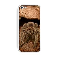 Graphics and More Rose Hair Tarantula Spider Protective Skin Sticker Case for Apple iPhone 5C - Set of 2 - Non-Retail Packaging - Opaque