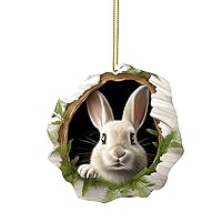 FASHERGEN Easter Hanging Ornaments Bunny Happy Easter Wooden Ornament Easter Bunny Wooden Home Decor with Rope for Spring Easter Party Home Farmhouse Indoor Outdoor 2024
