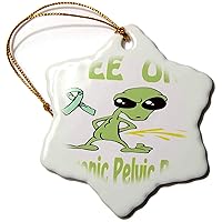 3dRose Super Funny Peeing Alien Supporting Causes for Chronic Pelvic... - Ornaments (orn-120656-1)
