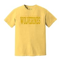 NCAA Monotone Bold, Team Color Garment-Dyed Heavyweight T-Shirt, College, University