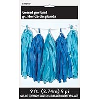 Elegant Royal & Light Blue Tissue Tassel Garland - 9 ft. - Unique Party Decoration - Ideal for Birthdays, Baby Showers, Holidays & Photo Booths (1 Pc.)