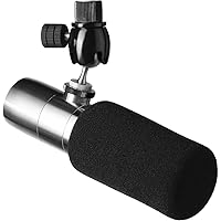 Earthworks ETHOS Streaming and Broadcasting Microphone — Silver