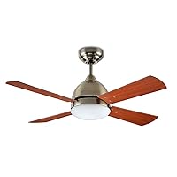 106.6cm Borneo 4 Blade Ceiling Fan with Light and Remote I