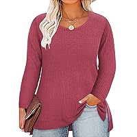 RITERA Plus Size Tops for Women Color Block Long Sleeve Striped Tunics Crewneck V Neck Fall Winter XL-5XL
