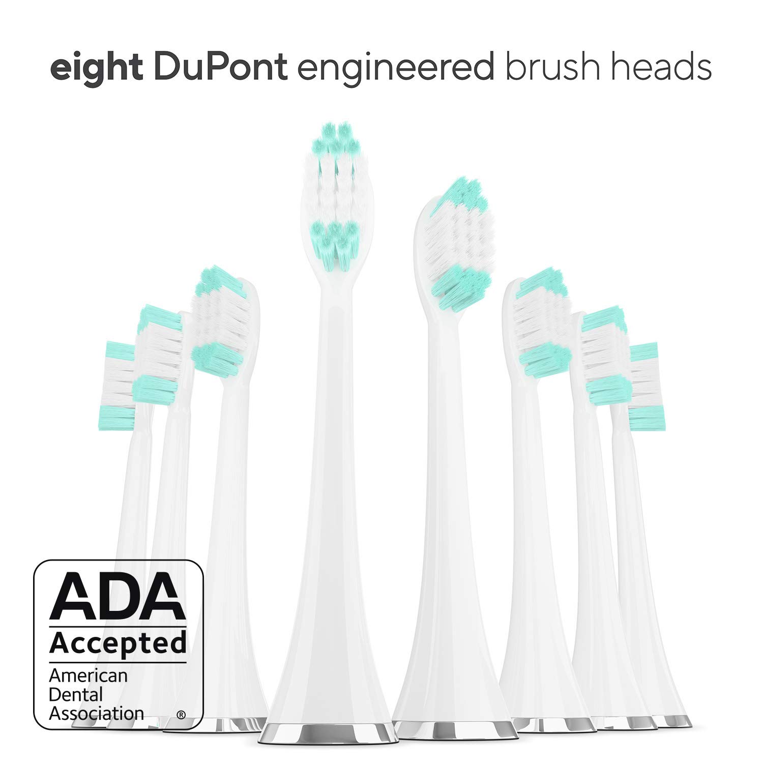 Aquasonic Vibe Series Ultra Whitening Toothbrush 2-Pack of Refresh & Protect Day Toothpaste