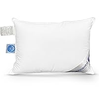 Comfort Bedding Toddler Pillow - Soft 550 Goose Down Fill Soft Baby Pillows for Sleeping, Plush Kids Pillow, Machine Washable - Toddler Pillow Baby Pillow for Sitting Up (13x18 Inch)