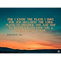 777 Tri-Seven Entertainment Jeremiah 29:11 Poster A Future and A Hope Bible Verse Quote Wall Art (24x18)