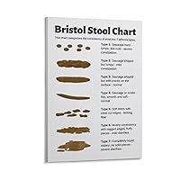 Posters Bristol Stool Chart Diagnosis Constipation Diarrhea Chart Art Poster Canvas Wall Art Picture Modern Office Family Bedroom Living Room Decor Aesthetic Gift 08x12inch(20x30cm)
