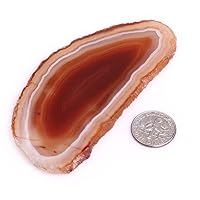 JOE FOREMAN Natural Flat Slice Cabochon Red Agate Semi Precious Gemstone Beads for Jewelry Making 1 Pcs More Than 4 inches