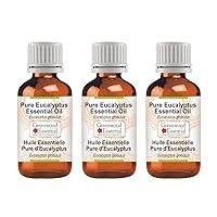 Pure Eucalyptus Essential Oil (Eucalyptus globulus) Steam Distilled (Pack of Three) 100ml X 3 (10.1oz)