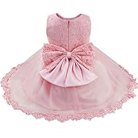 TiaoBug Baby Girls Floral Lace Formal Dress Bowknot Baptism Elegant Embroidery Pageant Party Flower Dresses Up Tutu Gown