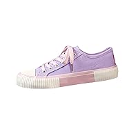 Low-top Canvas Shoes Female Spring Students Board Shoes