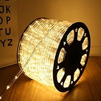 100 Feet 720 LED Rope Lights,2-Wire Low Voltage Waterproof Rope Lights Outdoor,Indoor Background Lighting Idear for Trees,Bridges,Eaves,Pool,Wedding Use(Warm White)