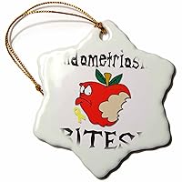 3dRose Funny Awareness Support Cause Endometriosis Mean Apple - Ornaments (orn-120524-1)