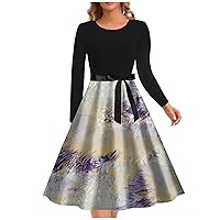 Fall Dresses for Women 2024 Long Sleeve Crewneck Tunic Dress Fashion Printed A Line Swing Flowy Cocktail Party Dress