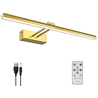 FUNCHDAY Picture Light,5000mAh Battery Operated Picture Light for Wall,Wireless Remote Painting Light with Timer and Dimmable,16”Metal Art Light for Display,Artwork,Portrait,Gallery-Gold