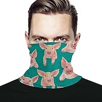 Pigs on The Wall Face Mask Unisex Neck Gaiter Seamless Face Cover Scarf Bandanas with Drawstring for Cycling Hiking