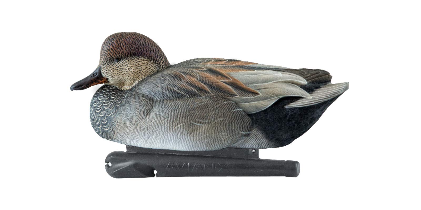 Avian-X Topflight Gadwall Durable Ultra Realistic Floating Hunting Duck Decoys, Pack of 6, AVX8085