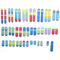 Chromosomes 3-D Model Making Kit, Set/5 Full-Color, Paper Model Templates & Teacher Guide (24-7714)