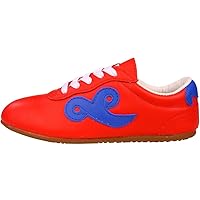 Red Leather Blue Cloud Taichi Shoes for Chinese Kung Fu